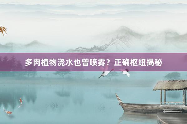 多肉植物浇水也曾喷雾？正确枢纽揭秘
